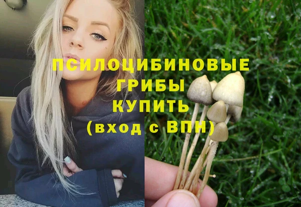 ПСИЛОЦИБИНОВЫЕ ГРИБЫ Бугульма