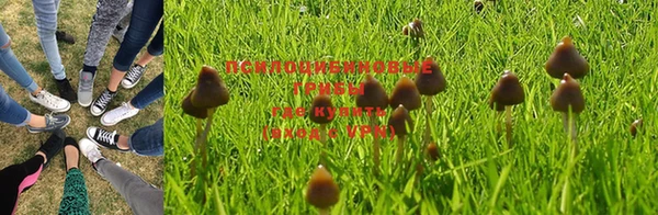 синтетический гашиш Бородино