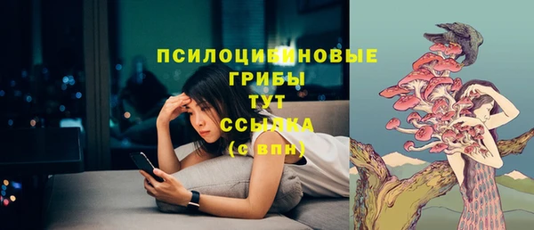 синтетический гашиш Бородино